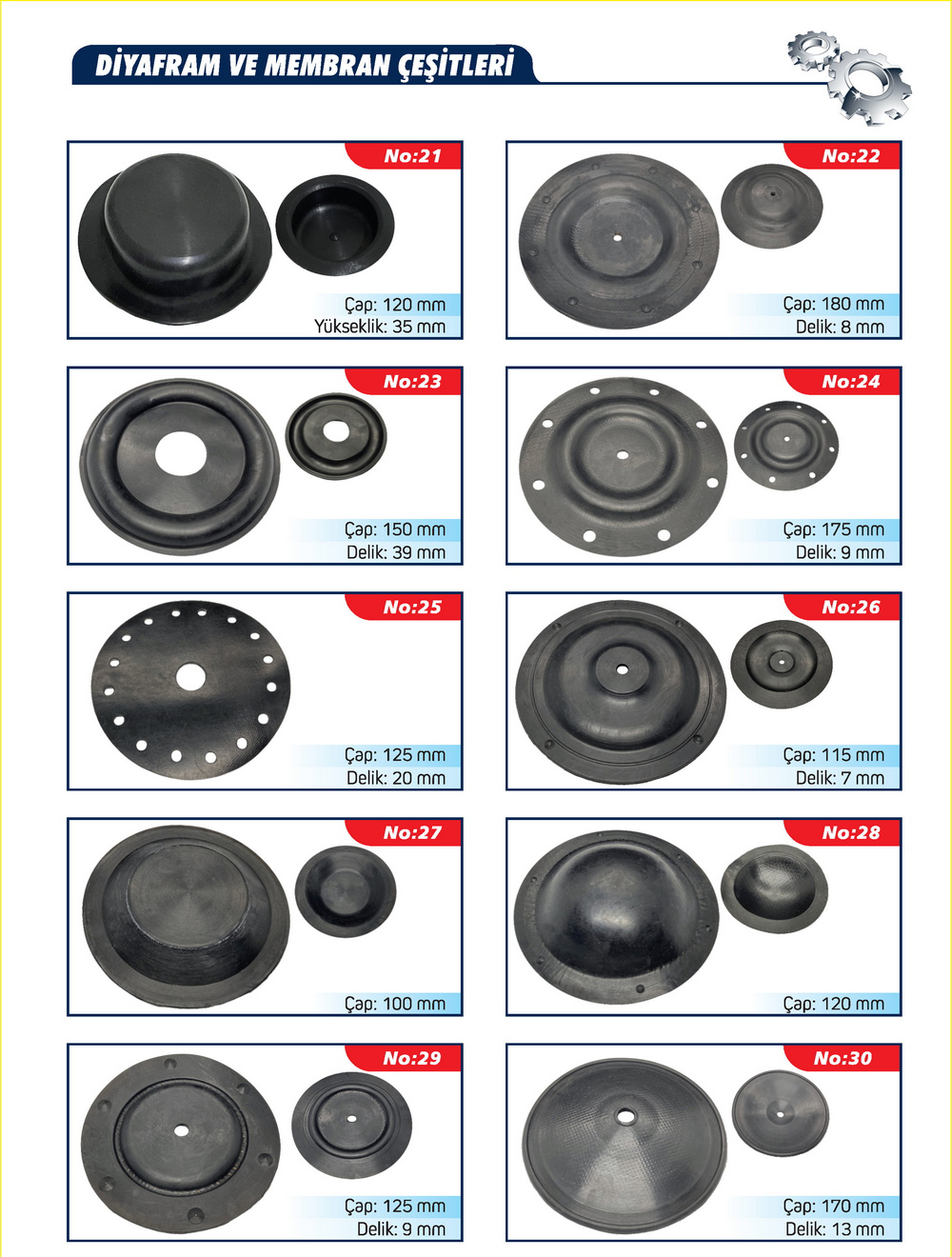 Diyaframlar ve Membran Çeşitleri